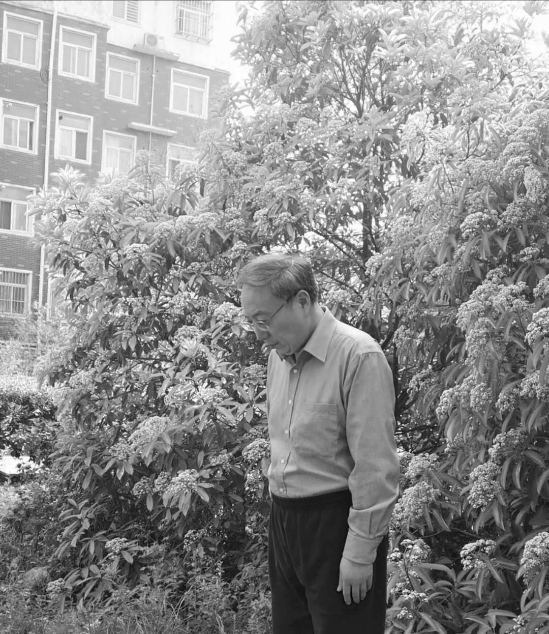 校党委书记穆瑞杰深切哀悼抗击新冠肺炎疫情斗争牺牲烈士和逝世同胞