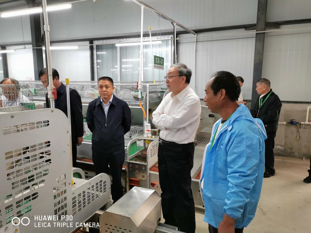 穆瑞杰到新疆昆仑绿源农业科技发展(集团)有限责任公司皮山县养殖基地调研